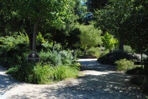 Off Market Homes in Hillsborough